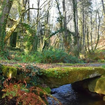 O Lagar De Finso Apartment *